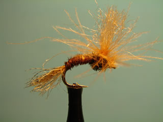 Pheasant Tail Emerger (14)